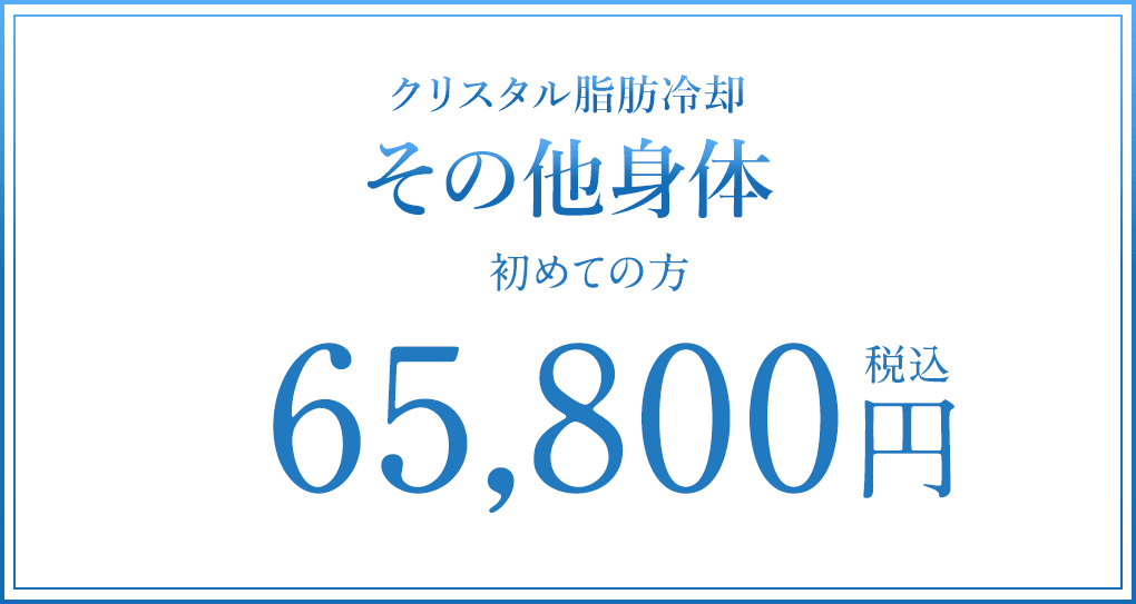 その他身体 初回65,800円（税込）