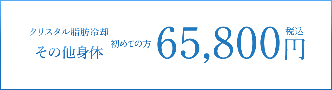 その他身体 初回65,800円（税込）