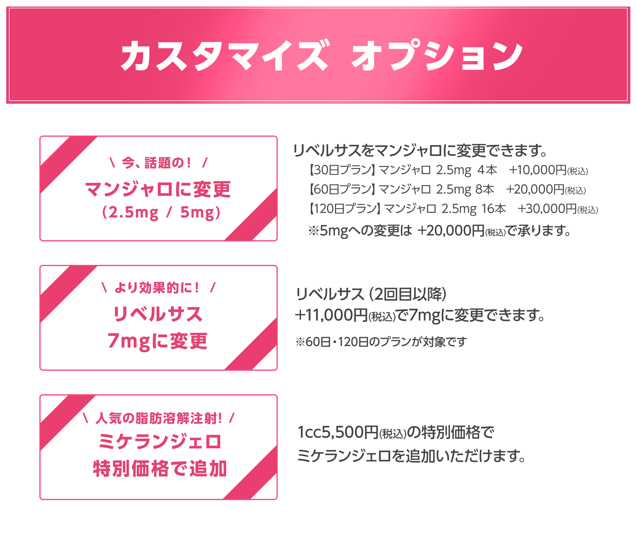 カスタマイズ オプション