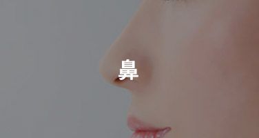 鼻